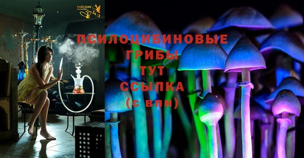 герыч Алзамай