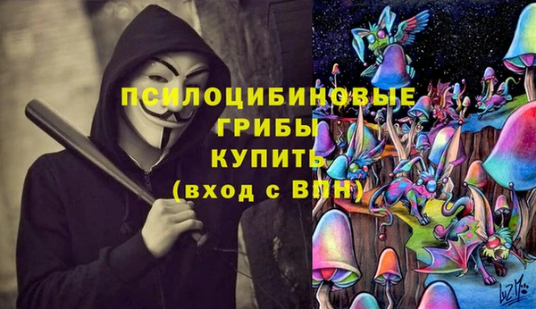 спиды Алексин